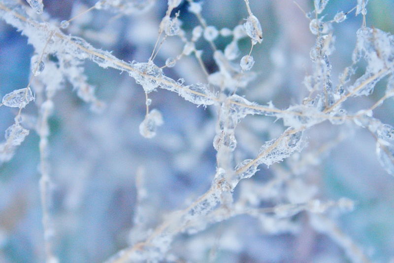 Chains of Ice