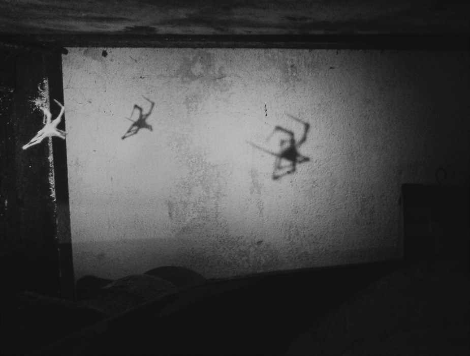 One Flew Over the Alien's Nest