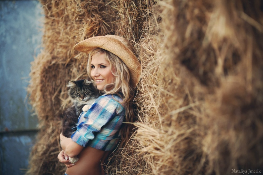 Portrait einer Katze