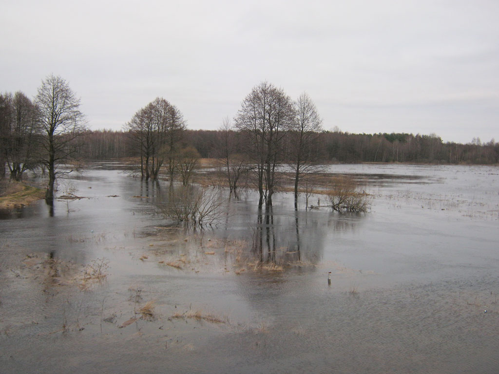 Hochwasser an Mukhavets