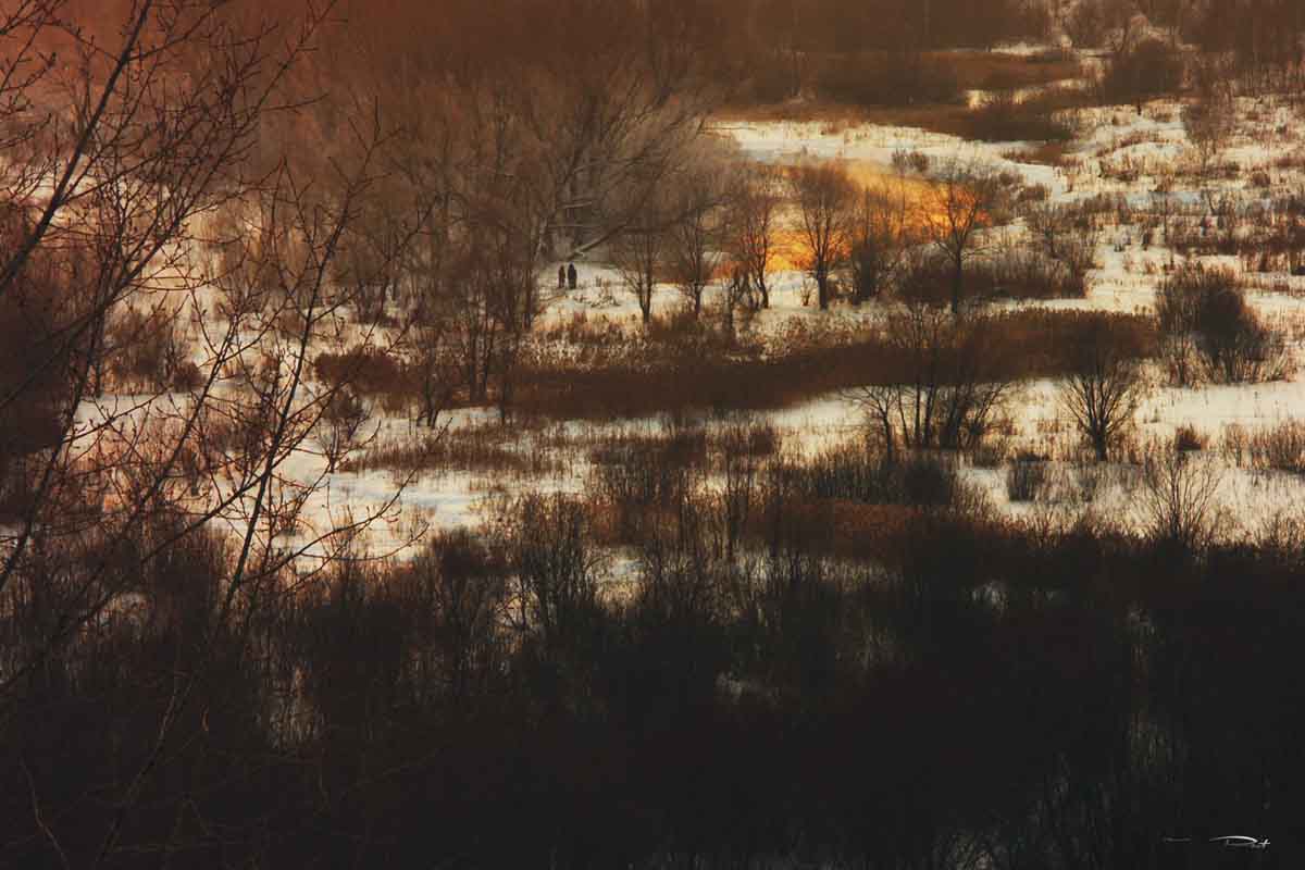 Der Vertrag von Gold