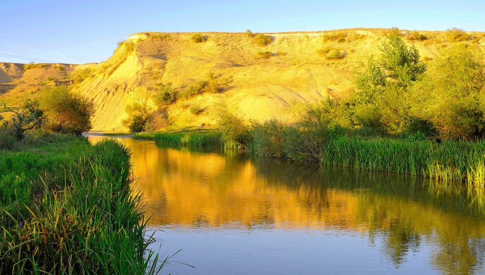 Die goldene Reflexion