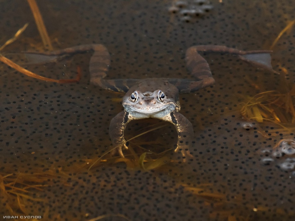 Ich bin nicht stört Sie?