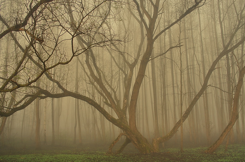 Über den Ton ... ...