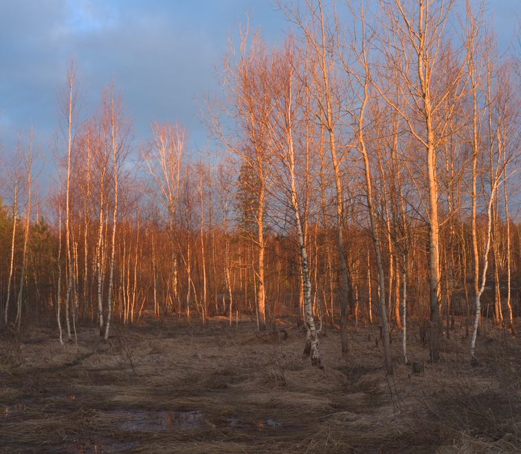 Vor Einbruch der Dunkelheit