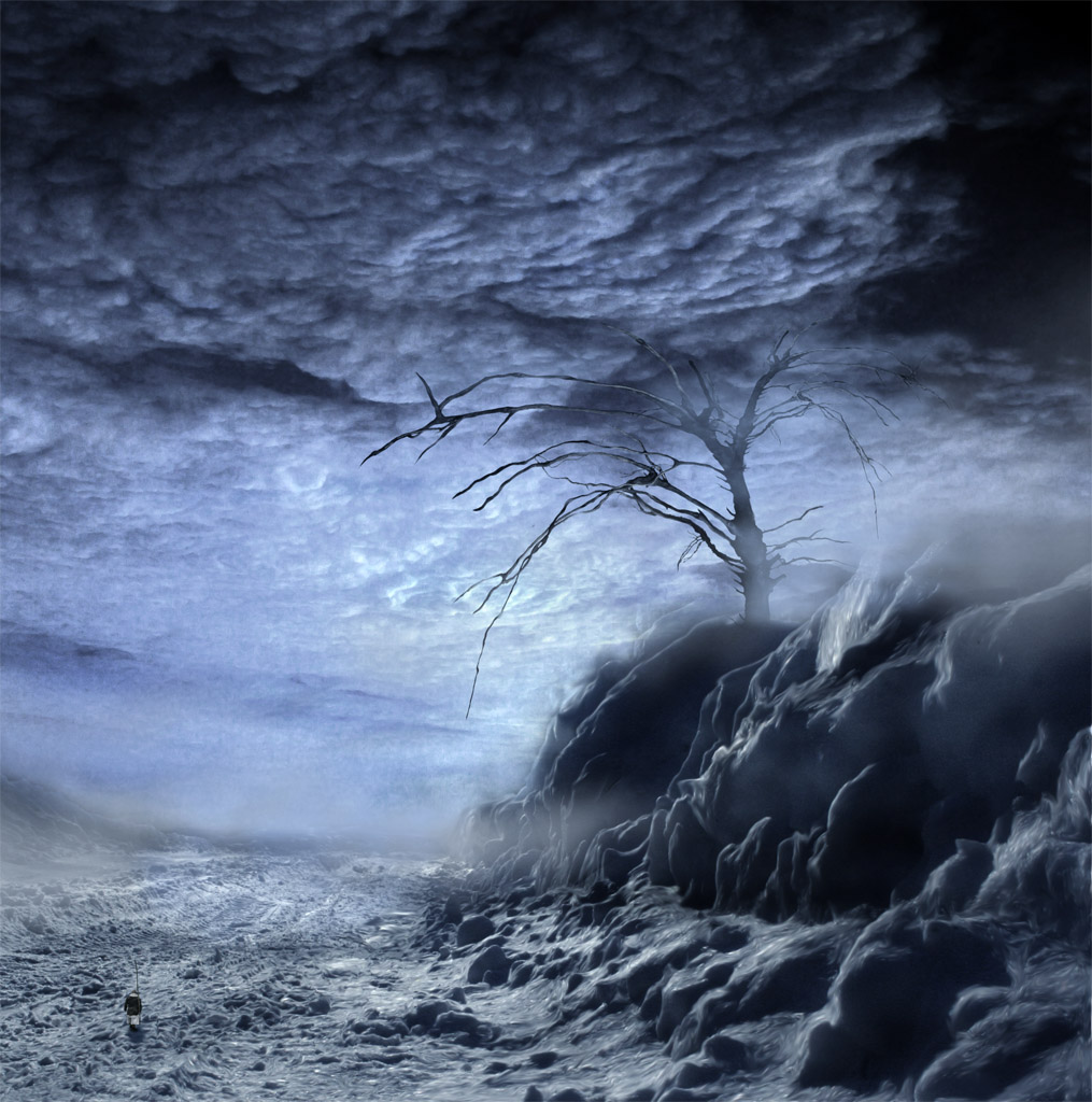 Auf der Suche nach dem Baum des Schauer ...