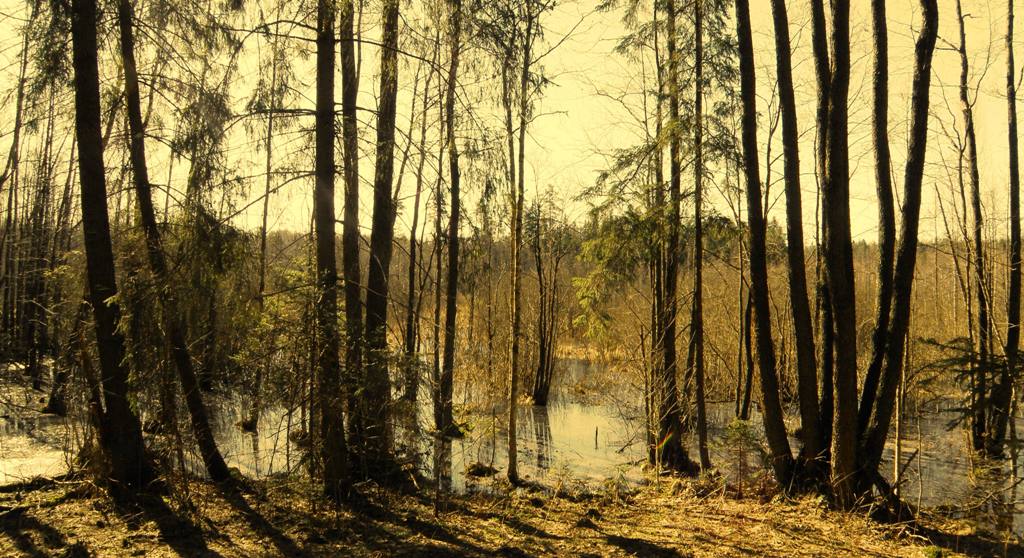 * Das Festhalten Dzen *