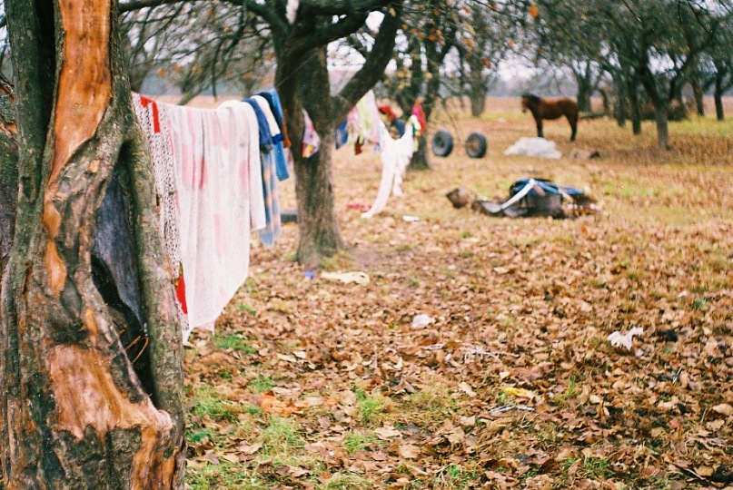 Die Zeit der Zigeuner