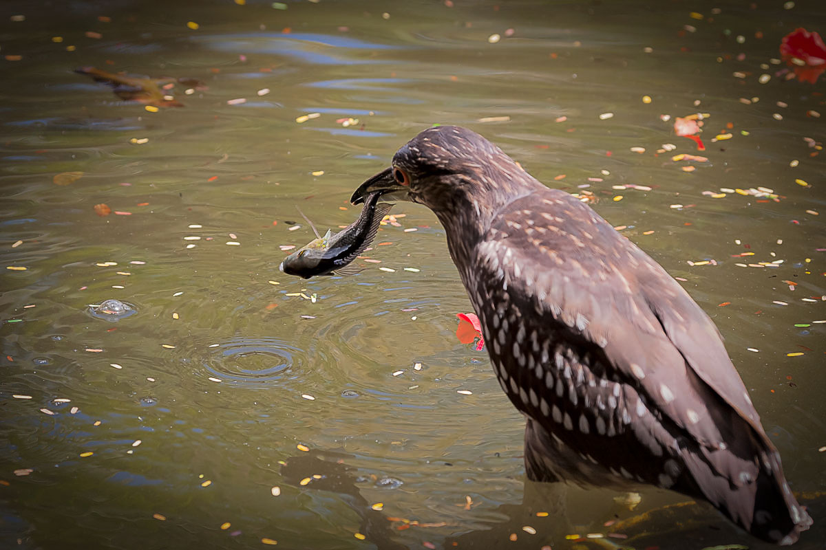 Fisherwoman Sonia irgendwie in die ...