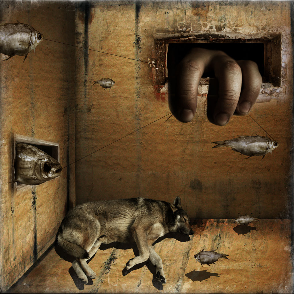 Greyhound Träume ...