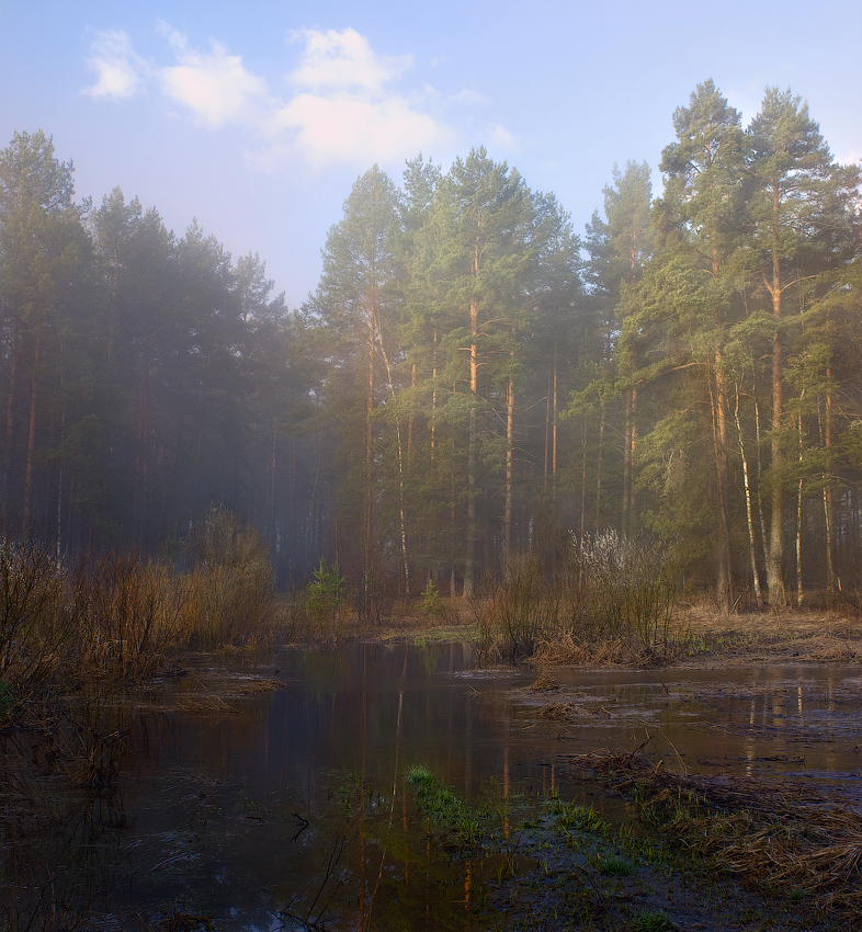 Wenn der Nebel verschwunden letzten