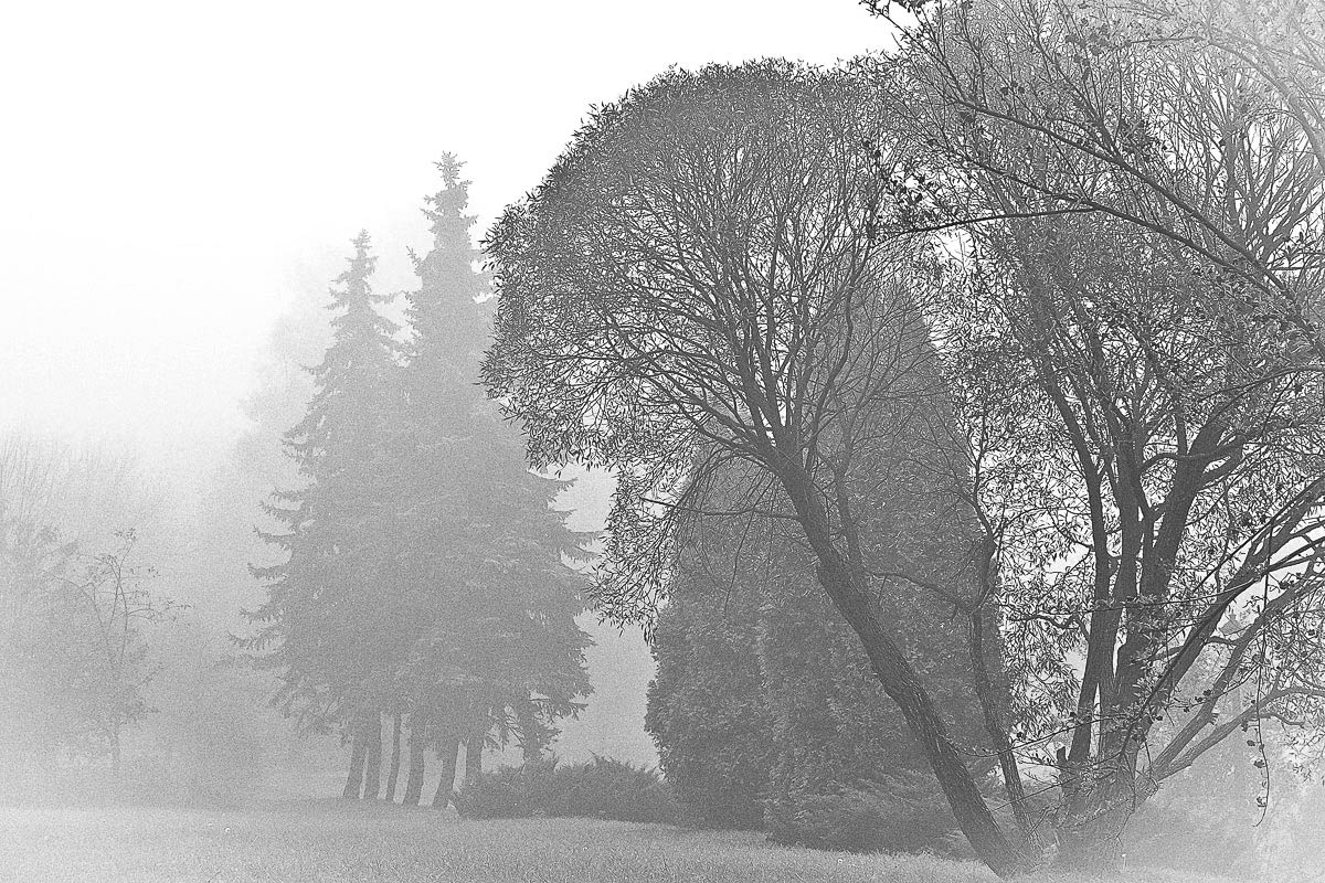 Dort, hinter dem Nebel ...