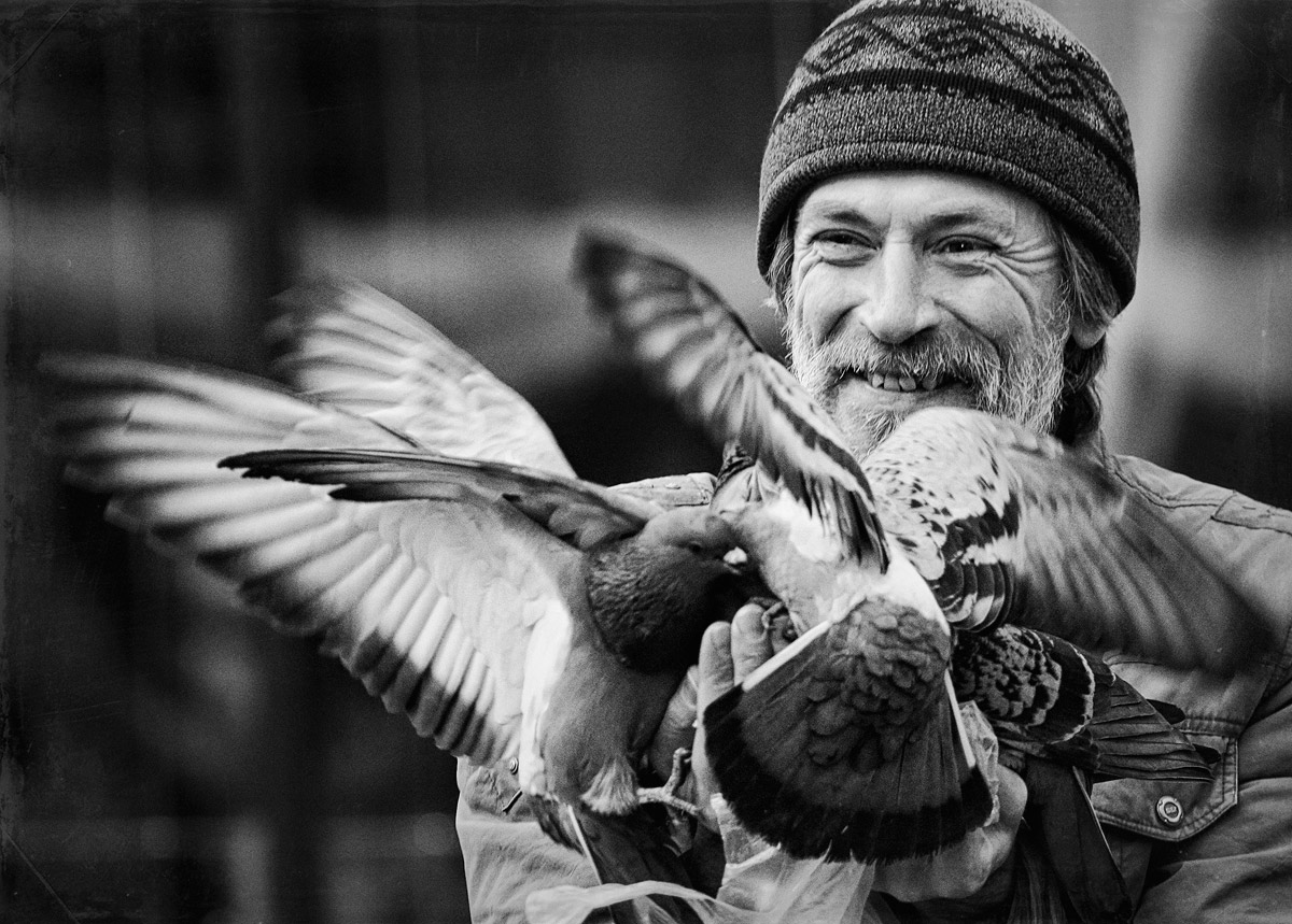 Liebe und Tauben ...