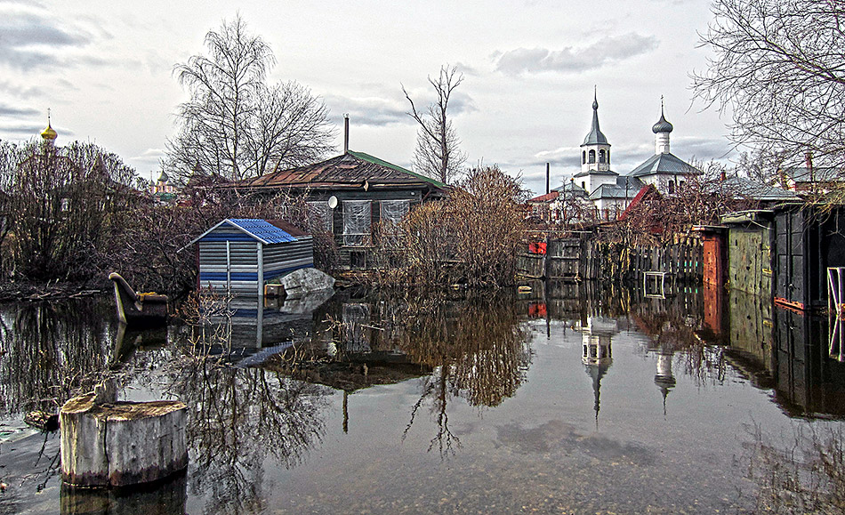 Frühling Metamorphose