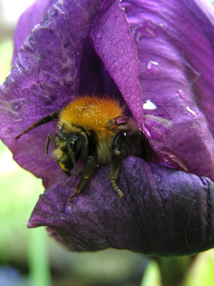 , die in der Villa ...
