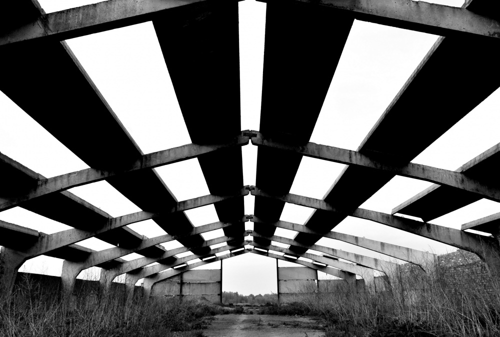 Rays Umstrukturierung