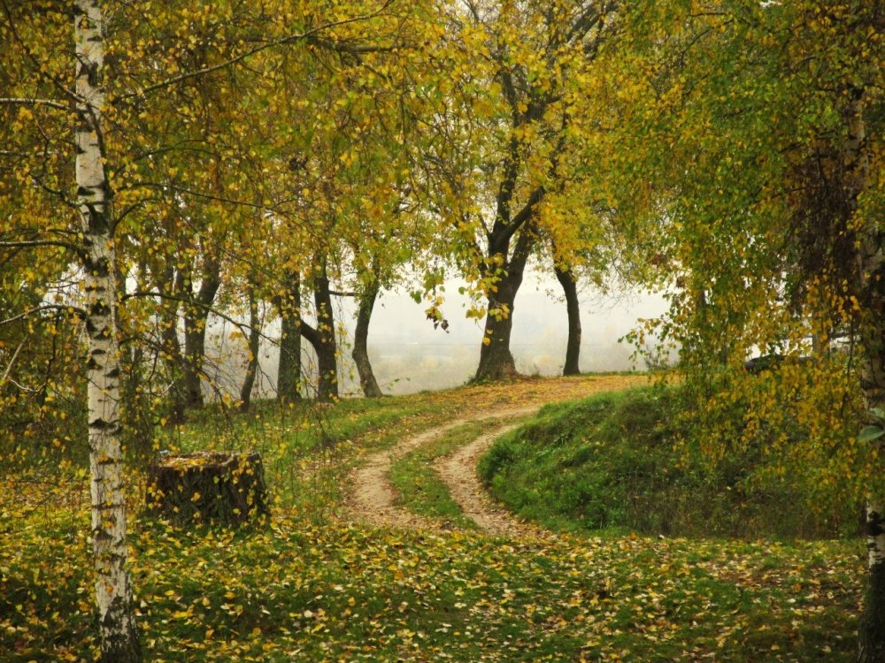 Die Straße über den Dnjepr