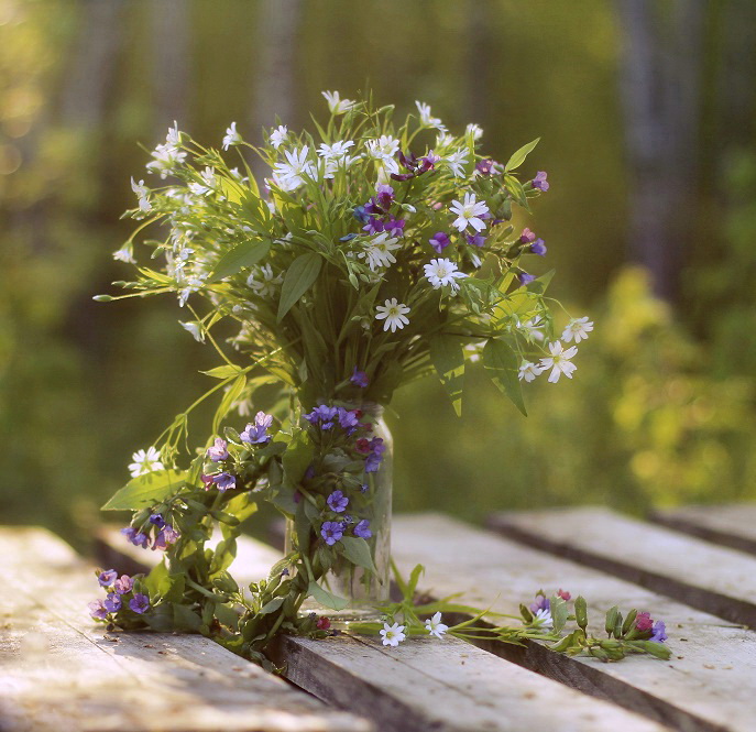 Blumenstrauß des Feldes ....