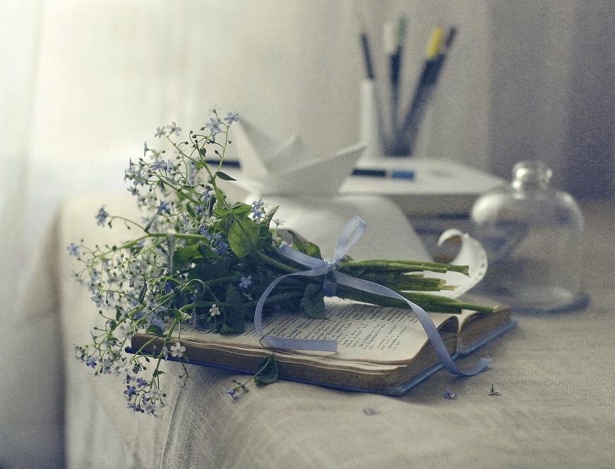 Mit der Vergissmeinnicht ....