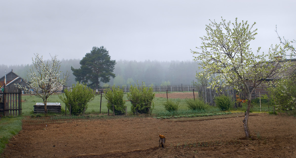 Kam zu dem Dorf Frühling