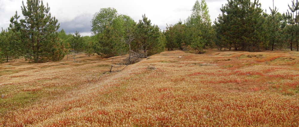 "Das Meer wallt ..."