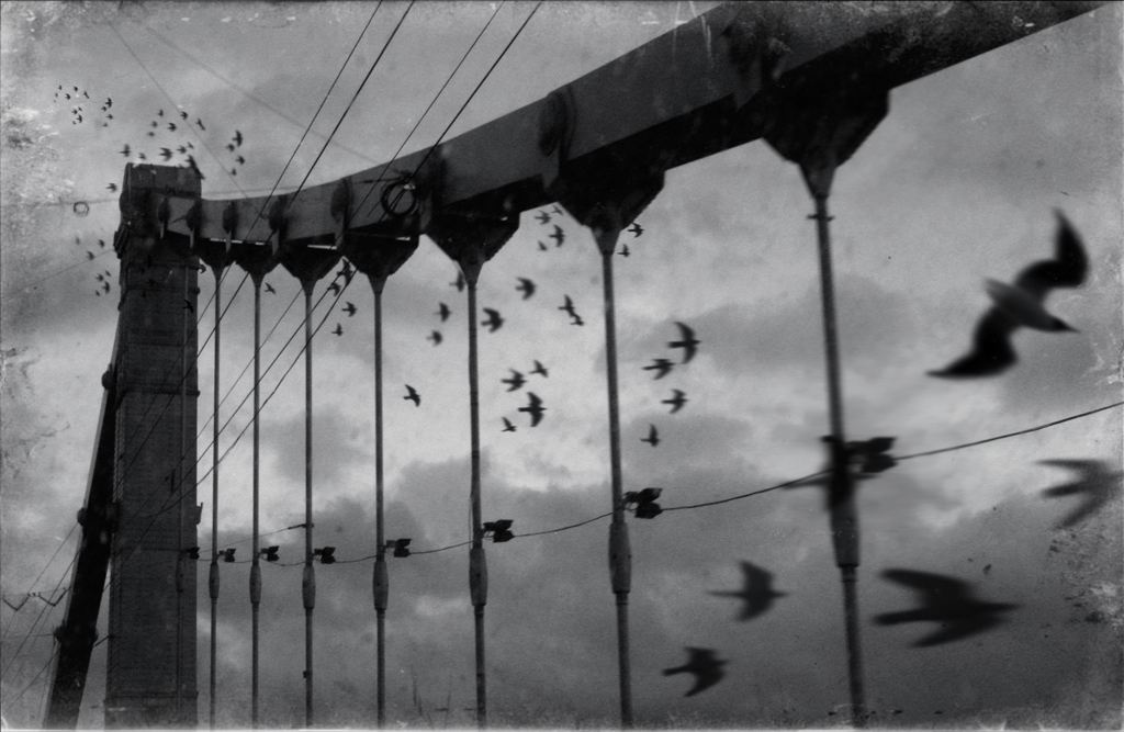 Stabile Hindernisse ...