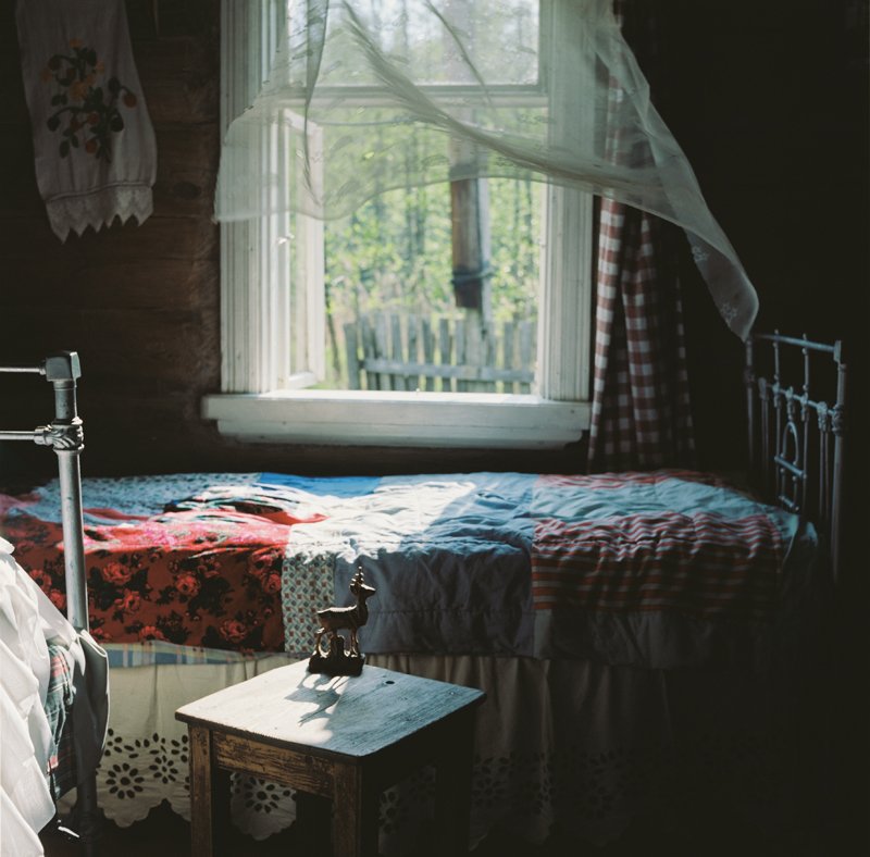 Gestern waren wir ein Reh auf der Straße ...