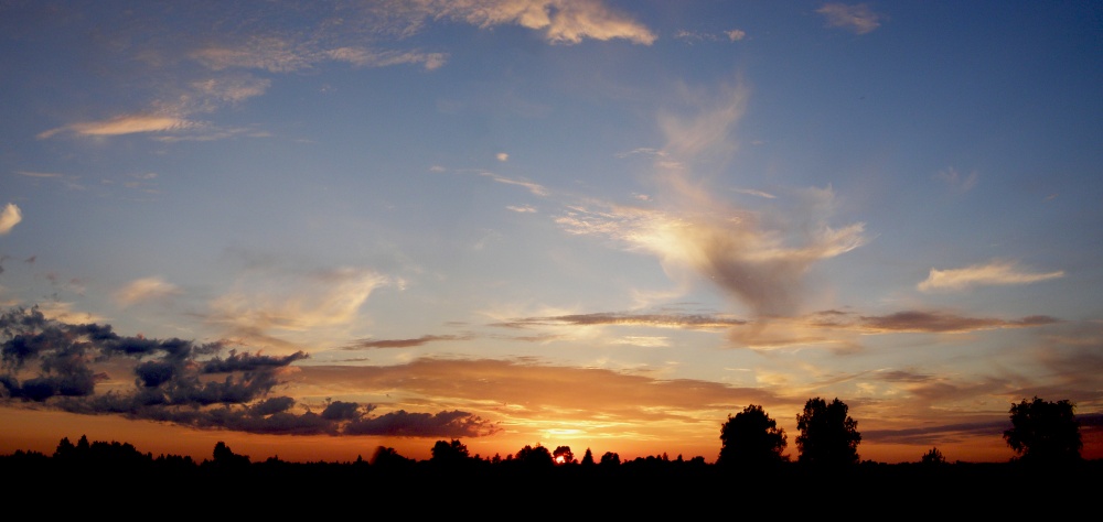 Crane fliegen weg, fangen ein Pferd)