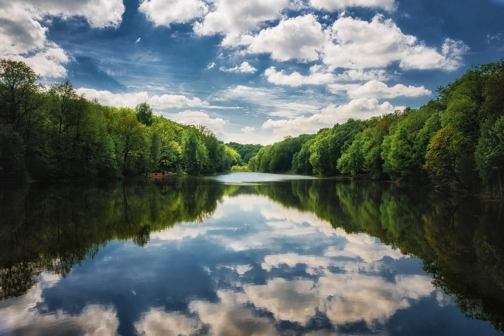 Frühling auf dem See
