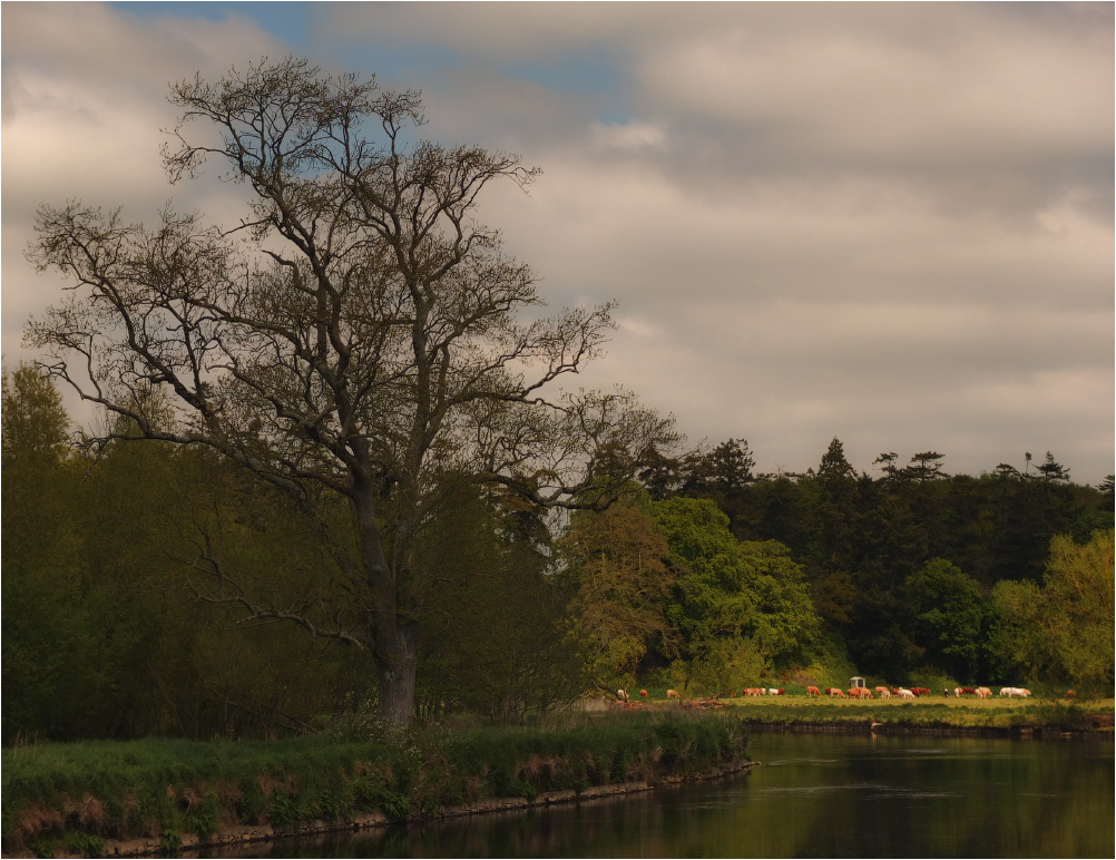 Auf der Sonne ... 2 ...