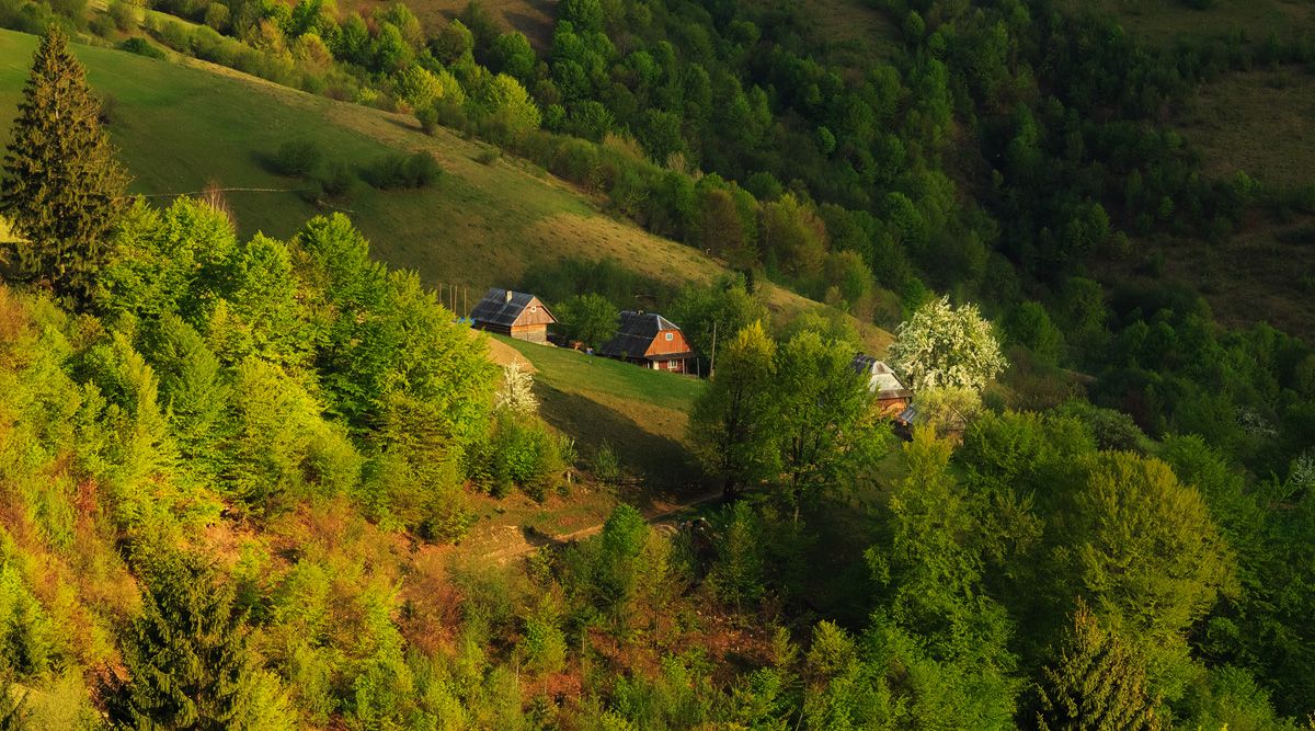 Bauernhaus mit einem blühenden Baum in den Karpaten