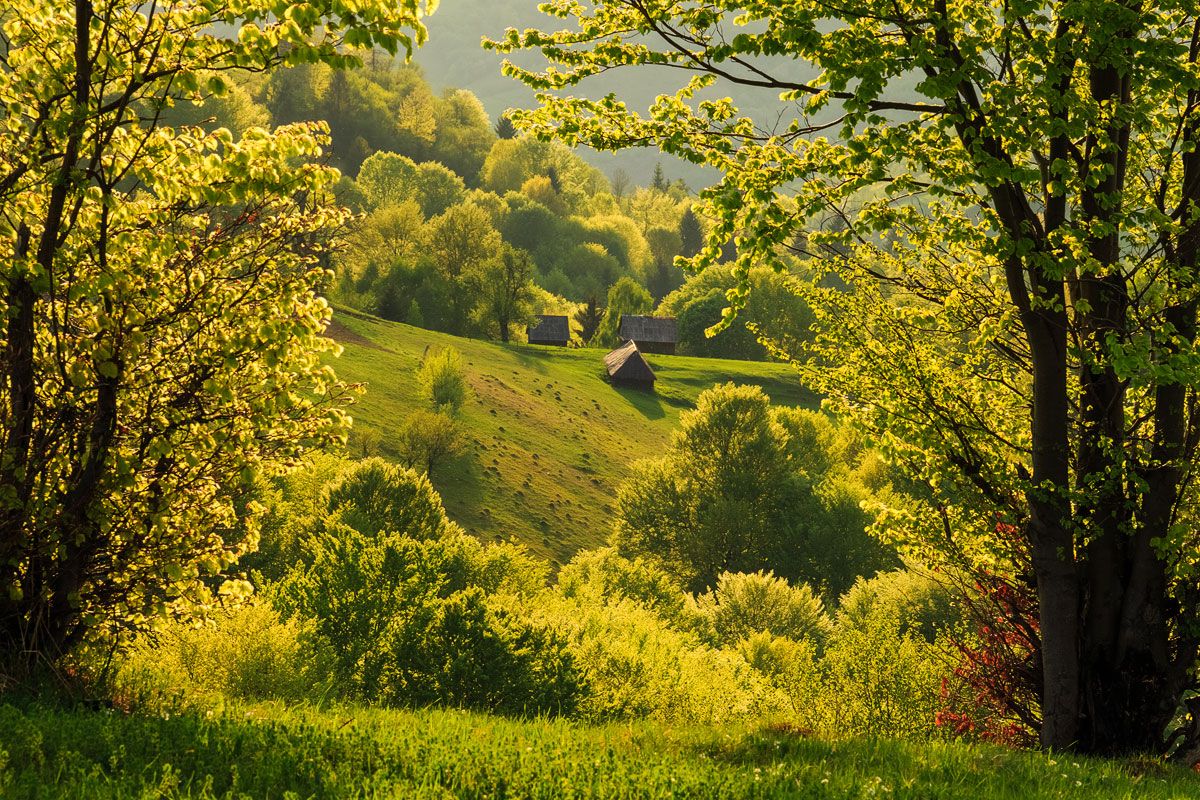 Farm in einem goldenen Rahmen