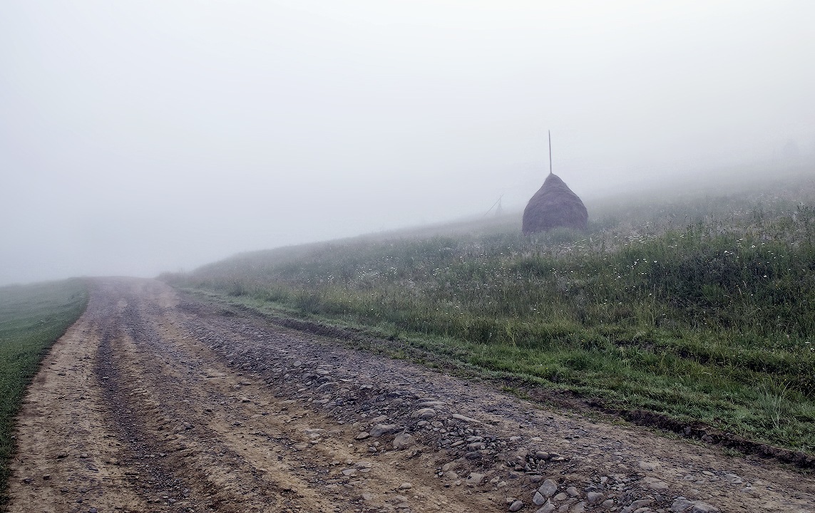 Nebel ... Wo ist der Weg? ...