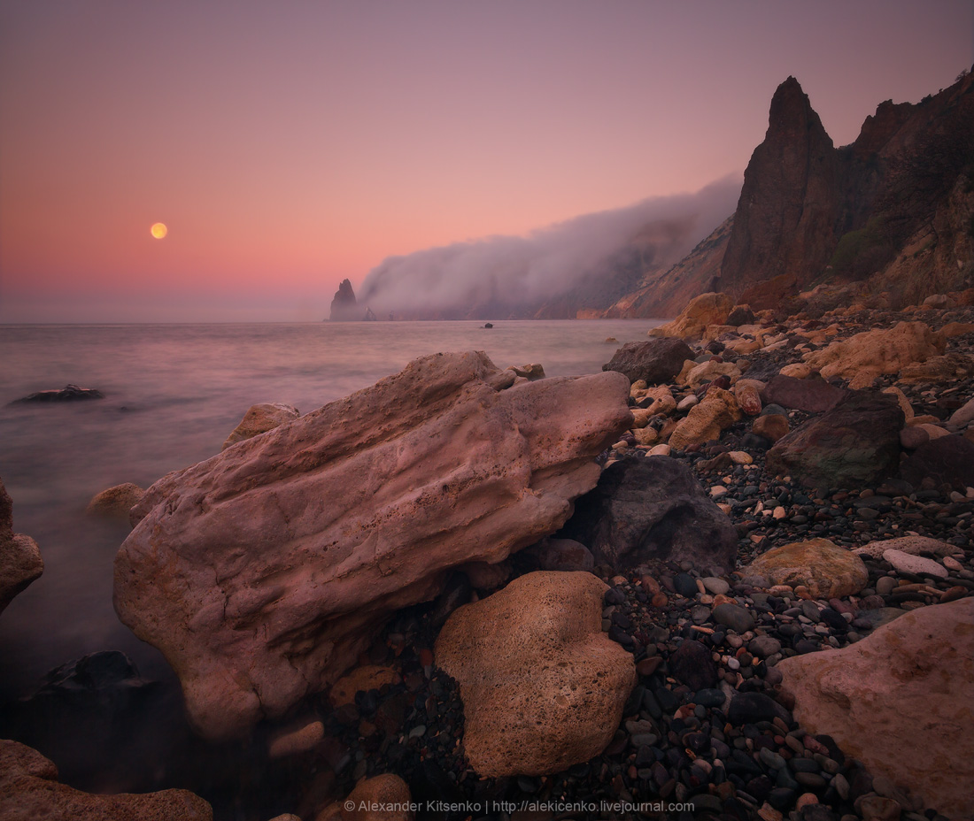 Moonlight Sonata Fiolent