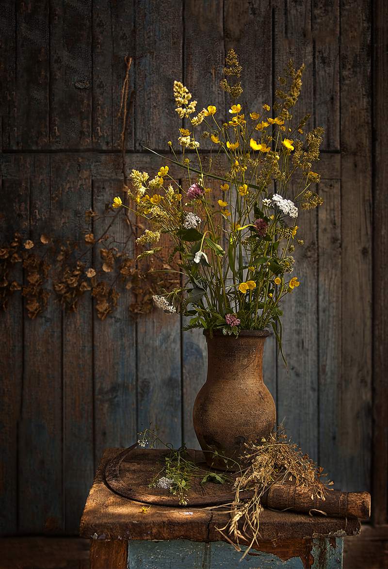 Über Graslandgräser ...