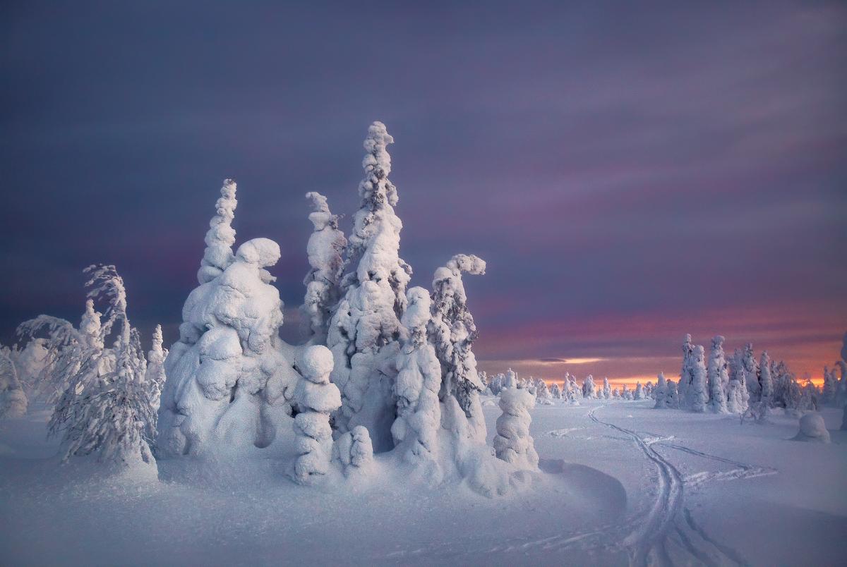 Ein seltsamer Abend im Mankin Hill III