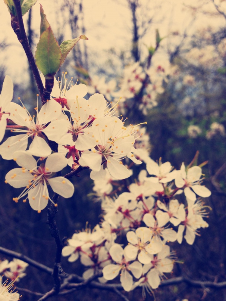 Der Atem des Sommers