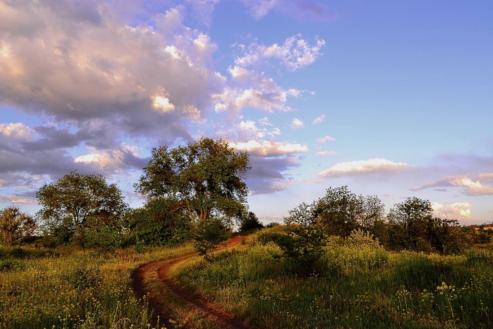 basierend auf Schischkin