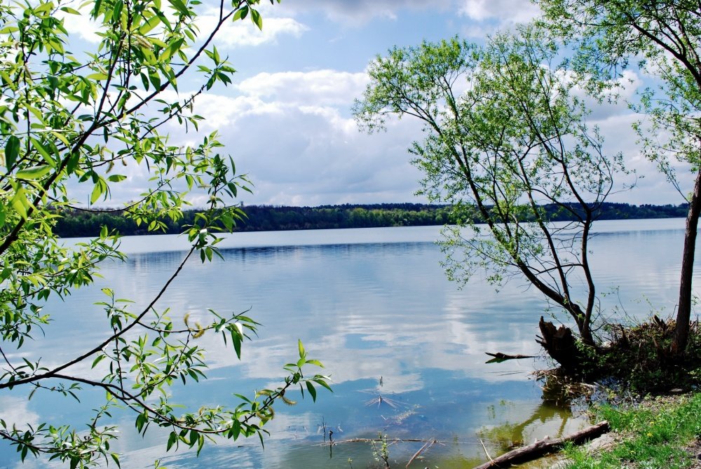 Der Frühling ist rechts in ihre nachdem gezeigt!