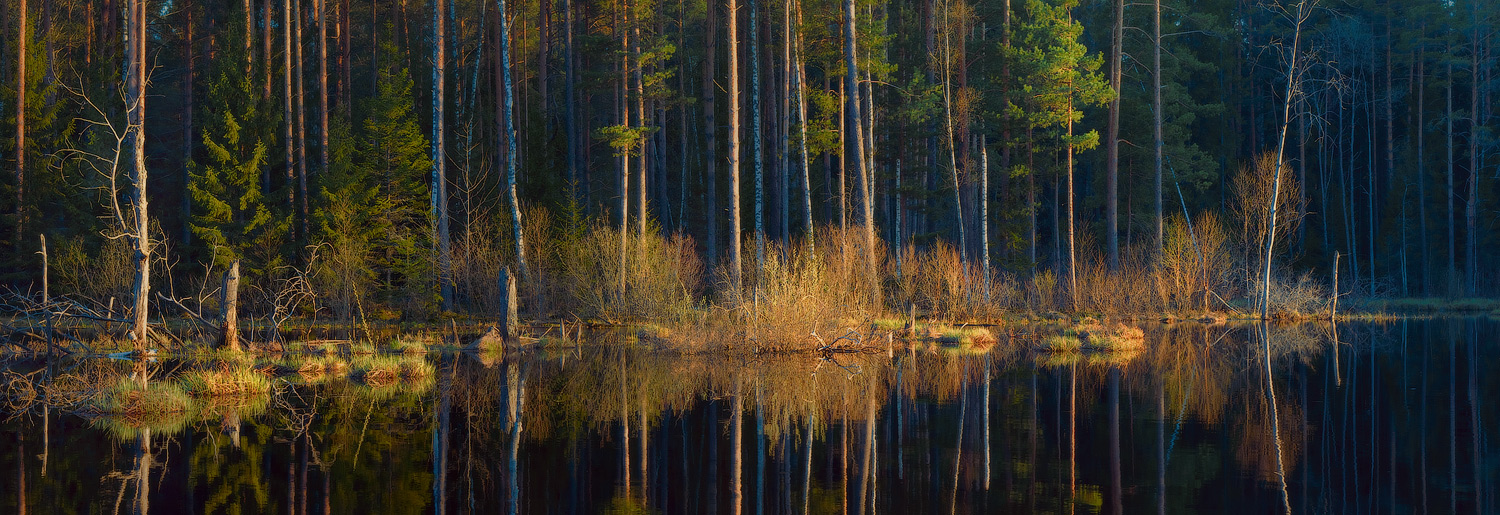 Abend Rhythmen spill