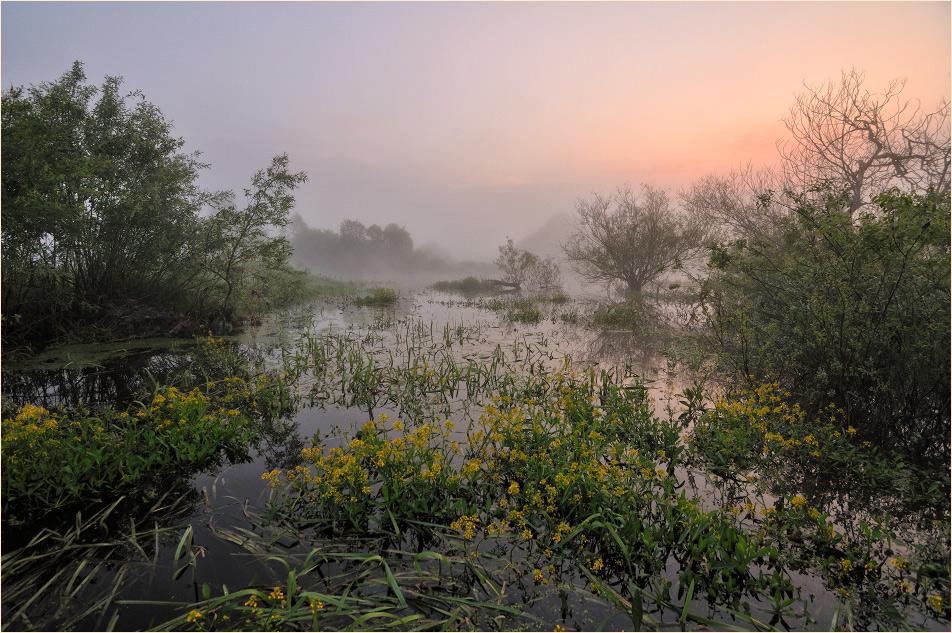 Wandering in der Dämmerung