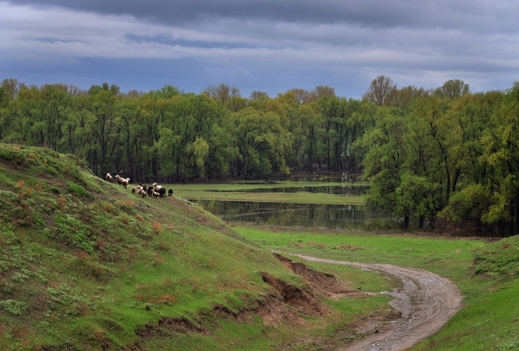 Auf dem Weg zum Fluss.