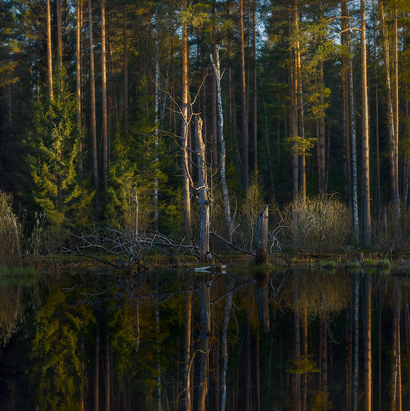 Abend Geheimnisse ...