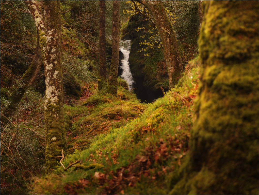 ... "Von podtishkA" ...