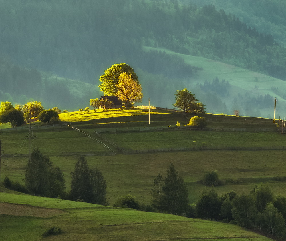 Über der Hütte, Berg, Baum und Sonne ...