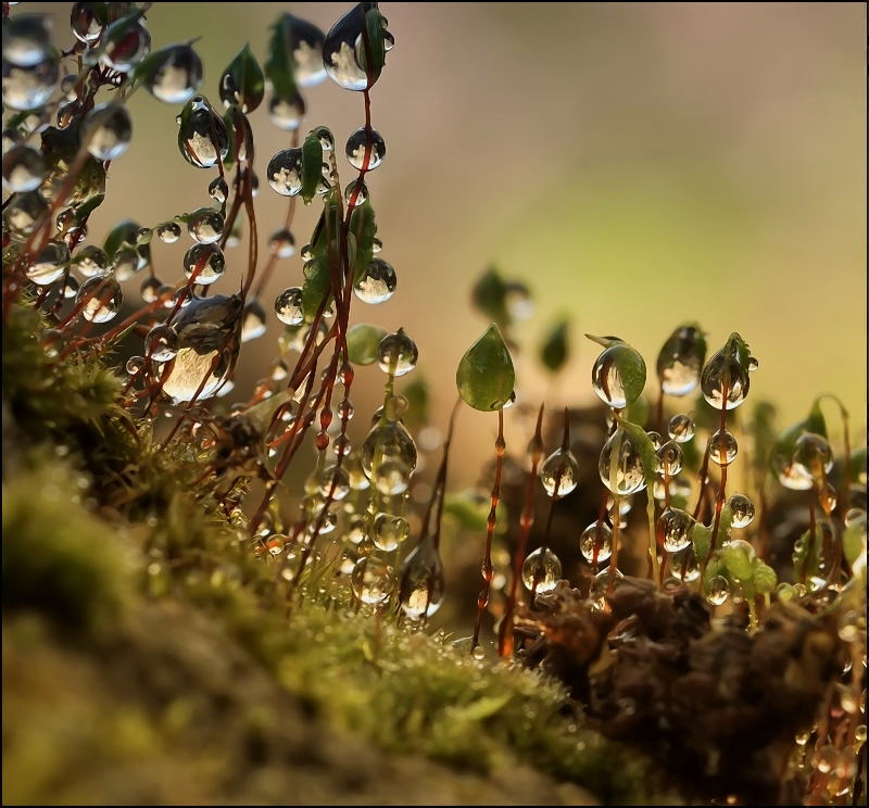 Ein wenig Morgen ...