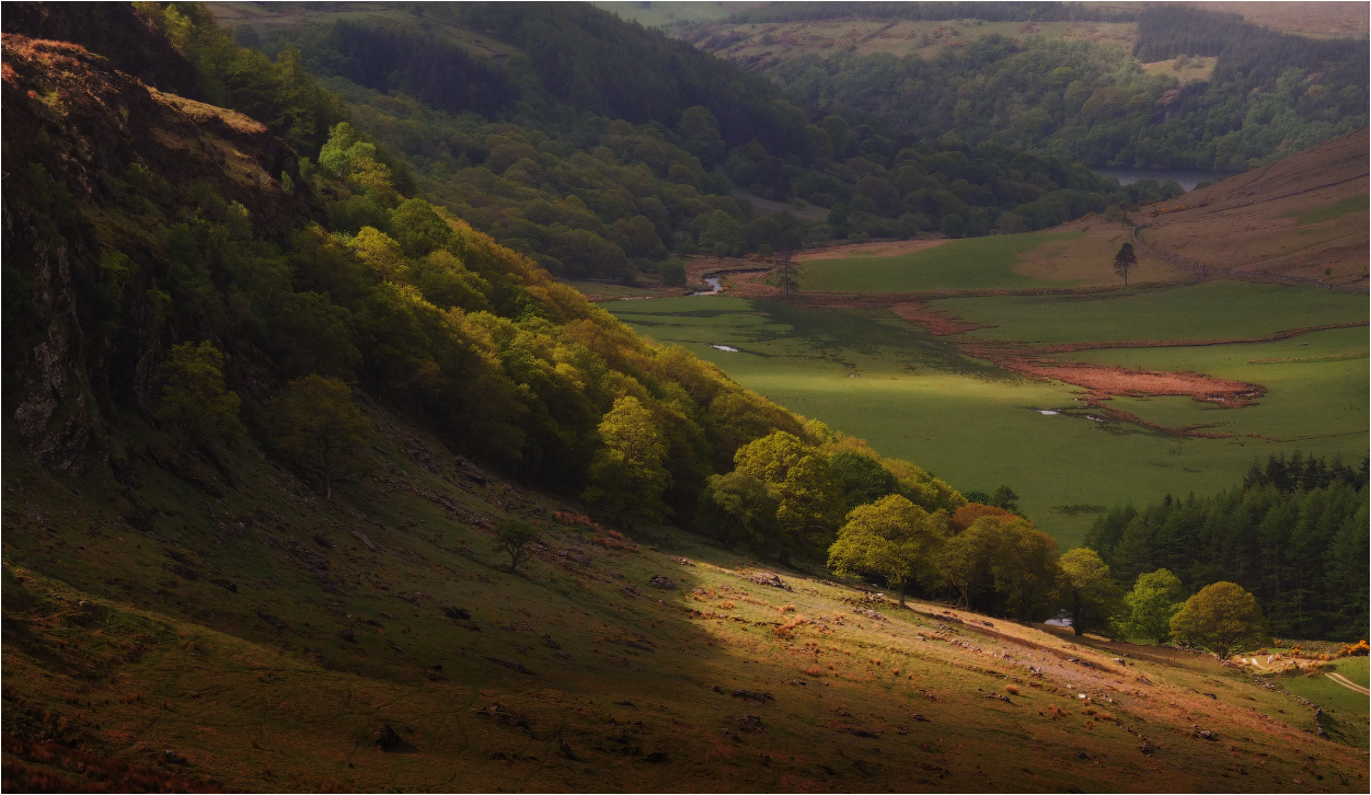 ... Über die Krone und den Hängen des ...