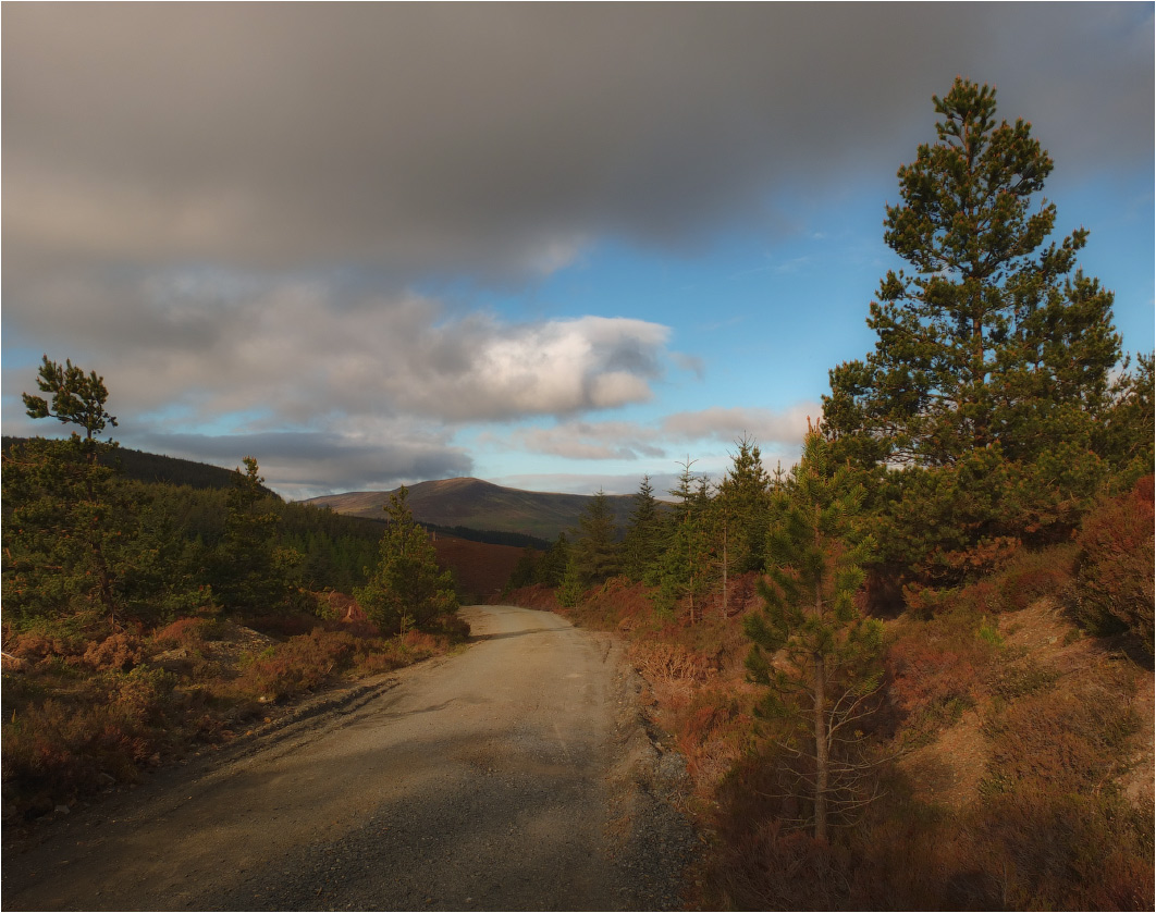 BERGBAU ... "Trails" 5 ...