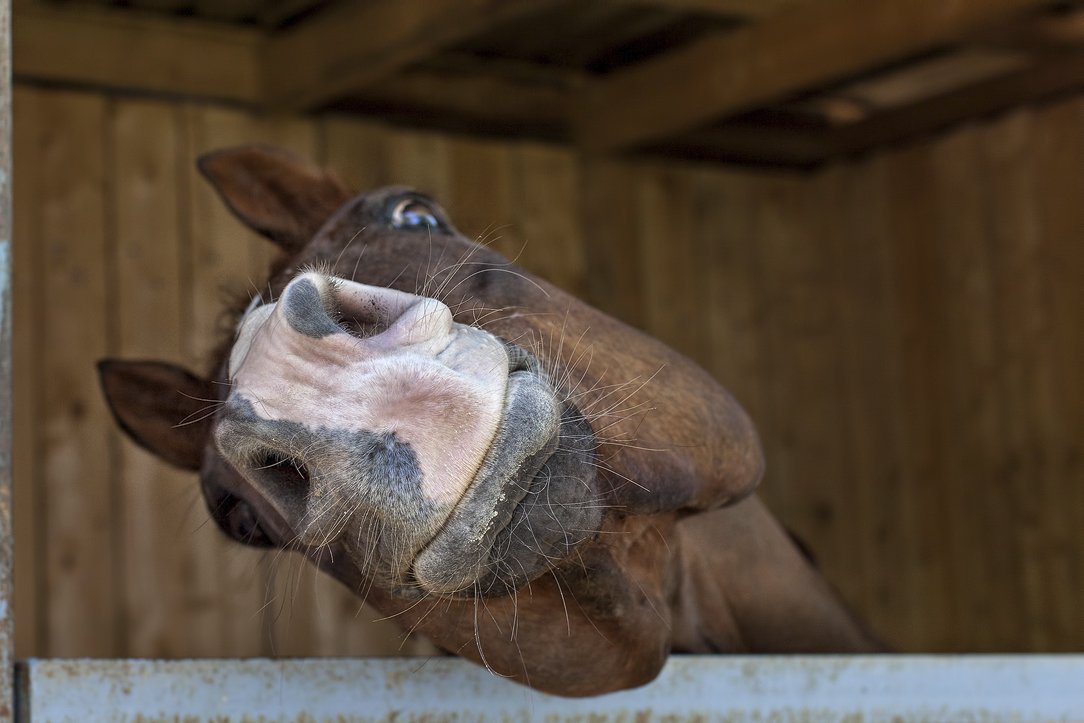 Lassen Sie uns kennen))