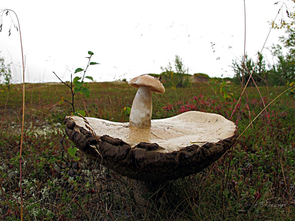 Das Leben geht weiter